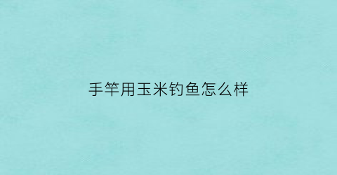 手竿用玉米钓鱼怎么样(手竿用玉米钓鱼怎么样好用吗)