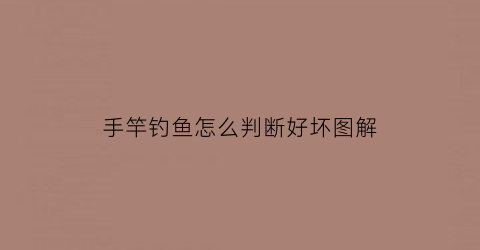“手竿钓鱼怎么判断好坏图解(手竿怎么样)