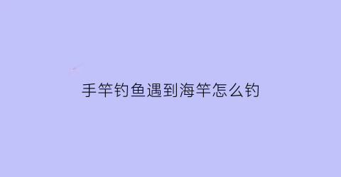 “手竿钓鱼遇到海竿怎么钓(手竿钓鱼遇到海竿怎么钓视频)