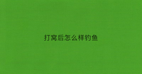 打窝后怎么样钓鱼(打窝后怎么样钓鱼最好)