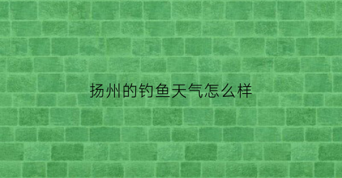 “扬州的钓鱼天气怎么样(扬州钓鱼的好地段)