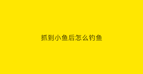 抓到小鱼后怎么钓鱼