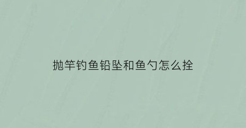 抛竿钓鱼铅坠和鱼勺怎么拴(抛竿铅坠固定好还是活动好)