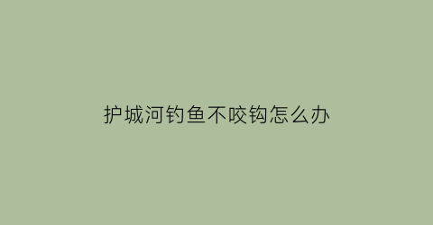 护城河钓鱼不咬钩怎么办