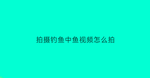 拍摄钓鱼中鱼视频怎么拍(拍钓鱼视频的都是用的什么拍的)