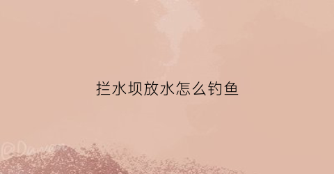 “拦水坝放水怎么钓鱼(拦水坝原理)