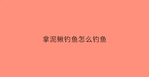 拿泥鳅钓鱼怎么钓鱼