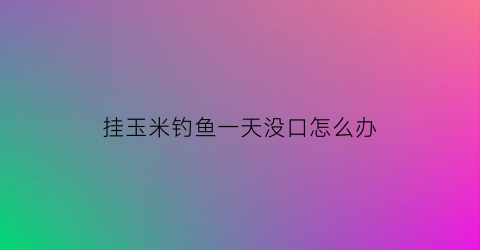 挂玉米钓鱼一天没口怎么办