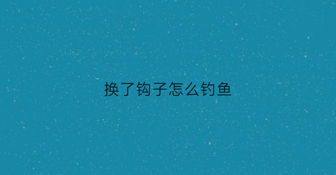 换了钩子怎么钓鱼(换钩怎么换)