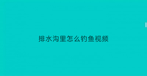 排水沟里怎么钓鱼视频(排水沟里怎么钓鱼视频教程)