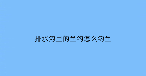 排水沟里的鱼钩怎么钓鱼(排水沟有鱼吗)