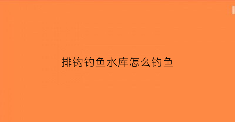 排钩钓鱼水库怎么钓鱼(排钩钓鱼用什么饵料视频)