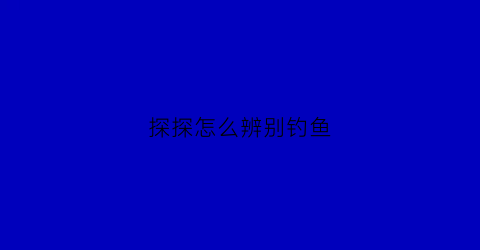 探探怎么辨别钓鱼(探探怎么分辨)