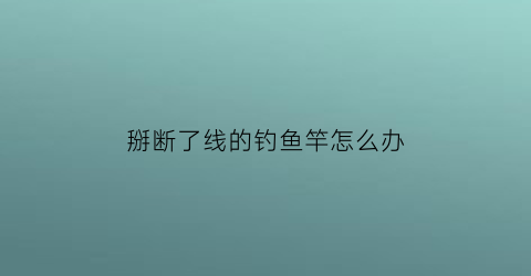 掰断了线的钓鱼竿怎么办(钓鱼把鱼竿拉断了)