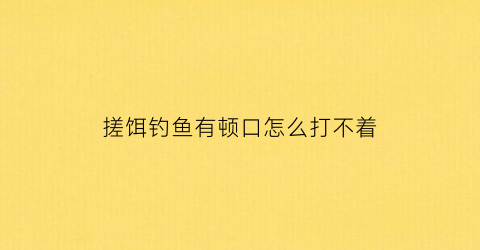 搓饵钓鱼有顿口怎么打不着(搓饵有口打不到鱼)