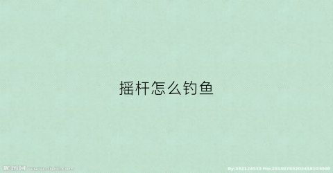 摇杆怎么钓鱼(钓鱼摇杆怎么使用)