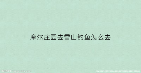 摩尔庄园去雪山钓鱼怎么去(摩尔庄园怎么去雪山钓鱼场钓雪鱼)