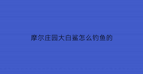 摩尔庄园大白鲨怎么钓鱼的(摩尔庄园鲨鱼白鲸怎么钓)