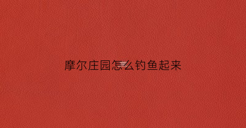 摩尔庄园怎么钓鱼起来(摩尔庄园怎么钓鱼成功率高)