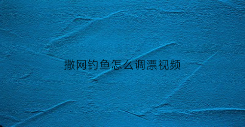 撒网钓鱼怎么调漂视频(撒网钓大鱼)