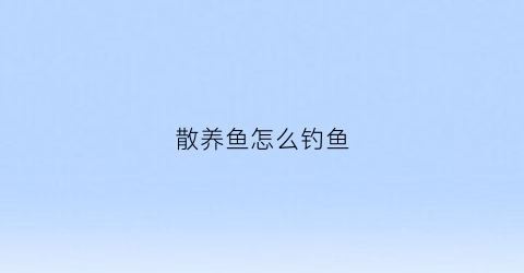 散养鱼怎么钓鱼(散养鱼怎么钓鱼视频)
