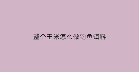 整个玉米怎么做钓鱼饵料(玉米怎样做钓鱼饵料)
