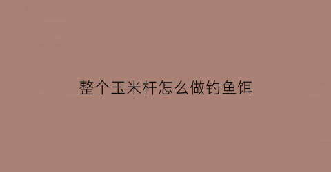 整个玉米杆怎么做钓鱼饵(玉米竿能干什么用)
