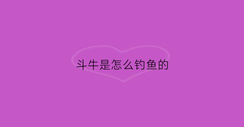 斗牛是怎么钓鱼的(斗牛实用技巧)
