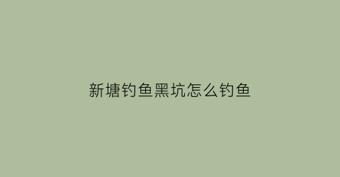 新塘钓鱼黑坑怎么钓鱼(新塘镇钓鱼的地方在哪里)