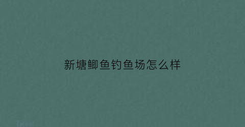 新塘鲫鱼钓鱼场怎么样(新塘附近钓鱼场)