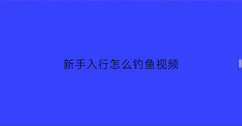 新手入行怎么钓鱼视频(新手如何钓鱼视频)