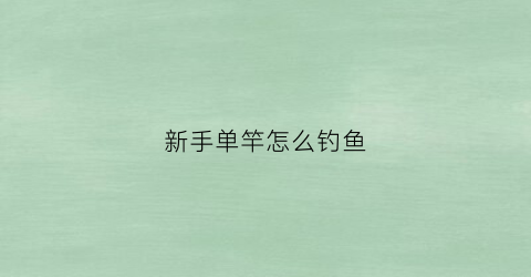 新手单竿怎么钓鱼(新手手竿钓鱼)