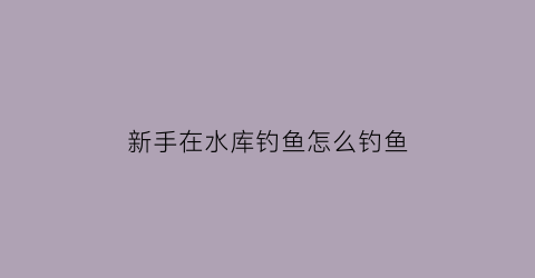 “新手在水库钓鱼怎么钓鱼(在水库怎么钓鱼鱼容易上钩)