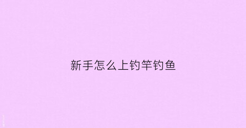 新手怎么上钓竿钓鱼(新手怎么上钓竿钓鱼好)
