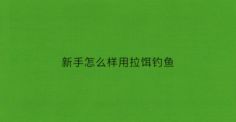新手怎么样用拉饵钓鱼(新手拉饵视频教程)