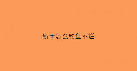新手怎么钓鱼不烂(新手怎么钓鱼不烂钩)