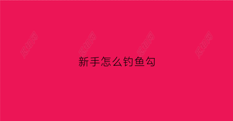 新手怎么钓鱼勾(新手怎么钩鱼)