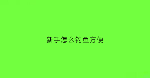 “新手怎么钓鱼方便(新手怎么钓鱼方便又好用)