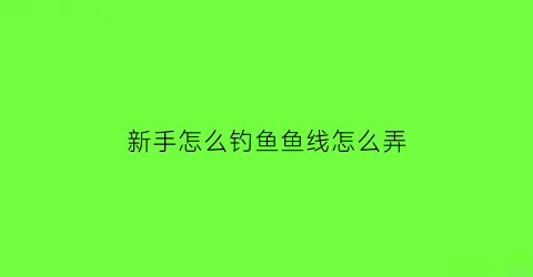 新手怎么钓鱼鱼线怎么弄(新手鱼线鱼钩选择)