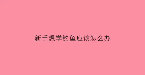 新手想学钓鱼应该怎么办(新手想学钓鱼应该怎么办呢)
