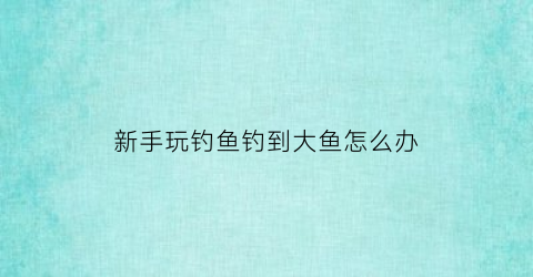 “新手玩钓鱼钓到大鱼怎么办(新手玩钓鱼钓到大鱼怎么办呢)