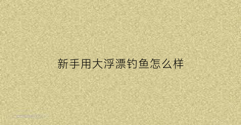 新手用大浮漂钓鱼怎么样