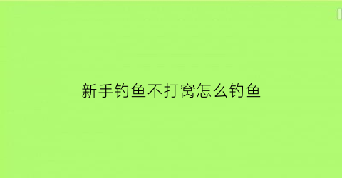 新手钓鱼不打窝怎么钓鱼