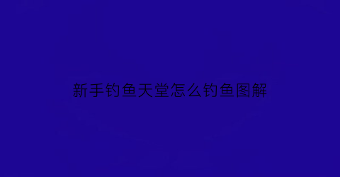 新手钓鱼天堂怎么钓鱼图解