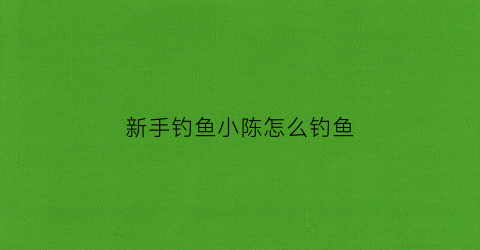 新手钓鱼小陈怎么钓鱼