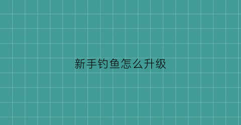 “新手钓鱼怎么升级(钓鱼技能怎么升到2级)