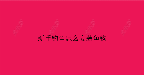 新手钓鱼怎么安装鱼钩(怎样安装钓鱼钩)