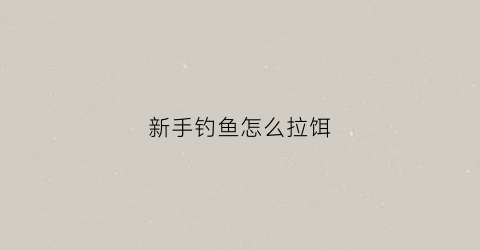 新手钓鱼怎么拉饵(新手钓鱼怎样拉饵)