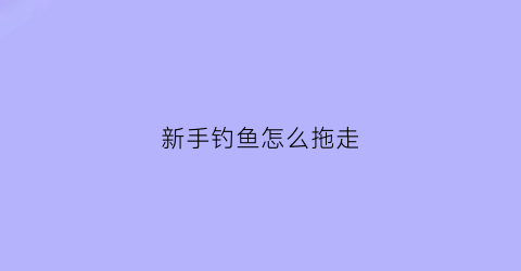 “新手钓鱼怎么拖走(新手怎么钓到鱼)