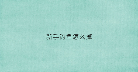 新手钓鱼怎么掉(新手钓鱼怎么弄)